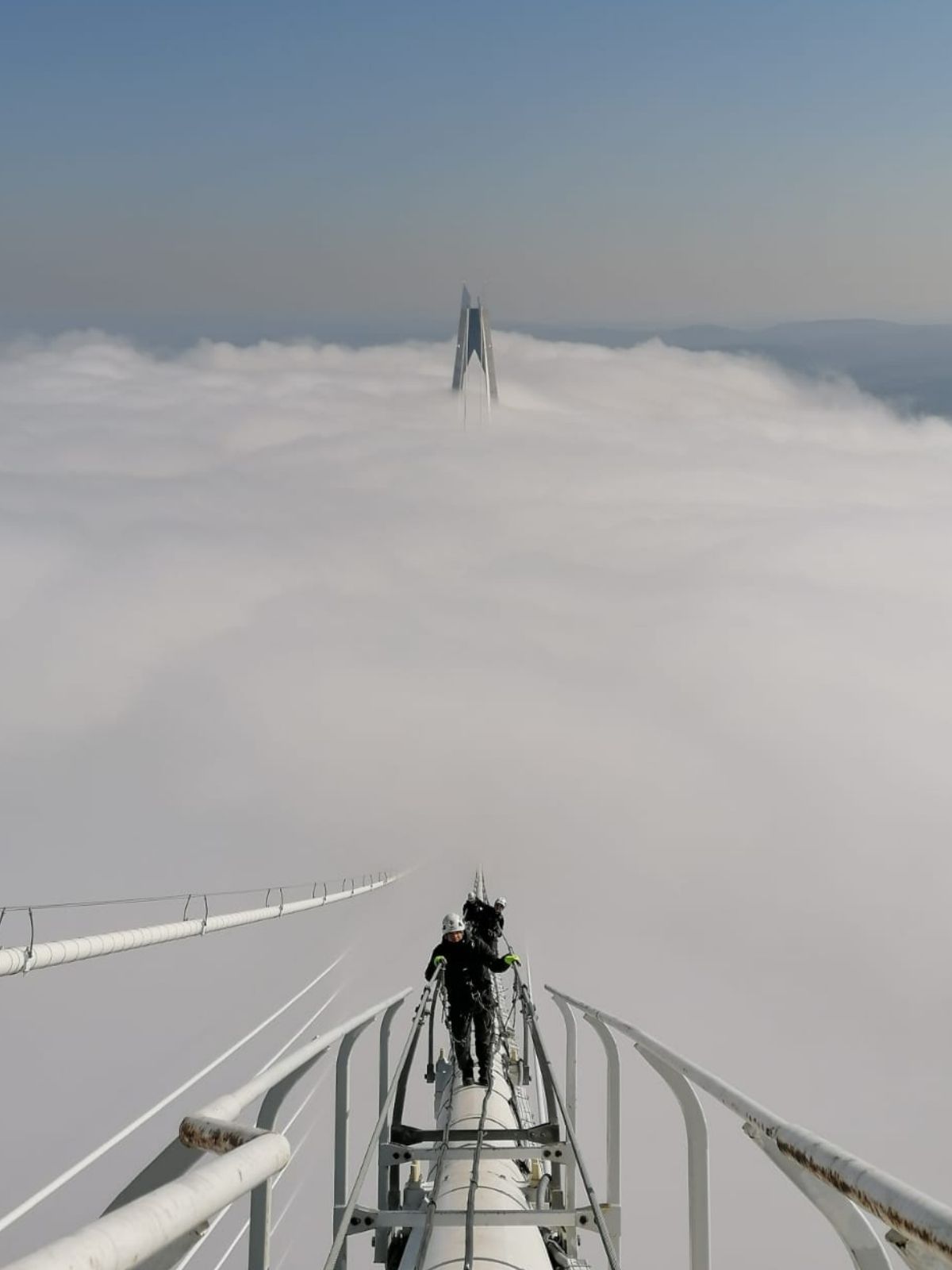 Şirketimiz Hakkında